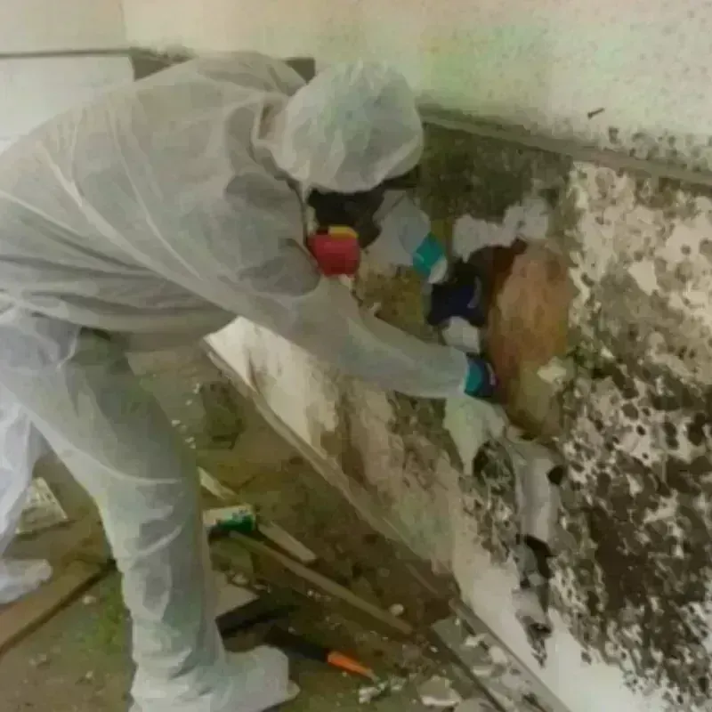 Mold Remediation and Removal in Tewksbury, MA